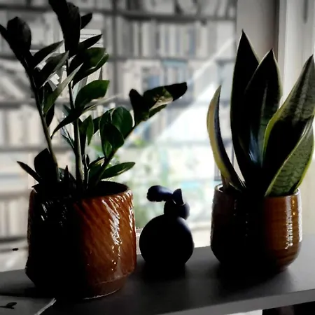 Zeitlos Гостевой дом