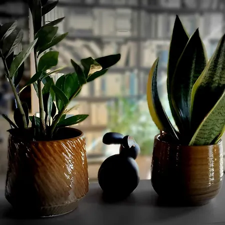 Гостевой дом Zeitlos 3*