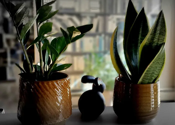 Pensionat Zeitlos 3*